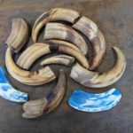 PXL_20260220_095715148