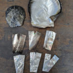 PXL_20260220_110521394