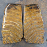 PXL_20260220_111515713