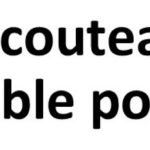 couteau dart non disponible pour le moment detouré le 08 04 2026